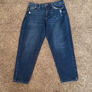 Stylish Dark Blue Ankle Jeans